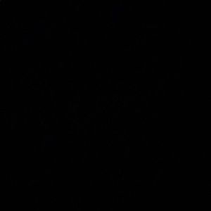 Meet your Posher, Vincent